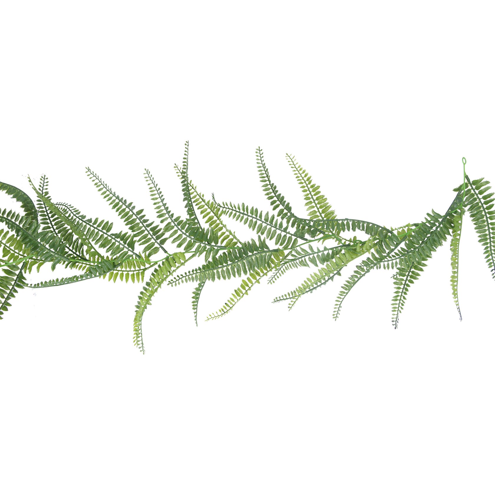 Fern Garland by Gisela Graham